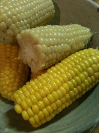 Corn